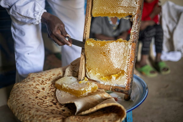 In Ethiopia, Tigray honey tries to regain its colors