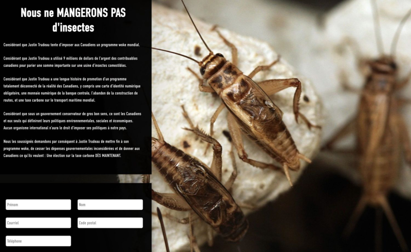 Pass on your personal data so that we don’t eat insects