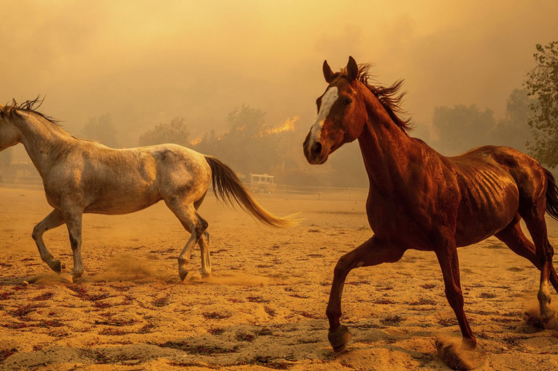 Thousands threatened by wildfire near Los Angeles