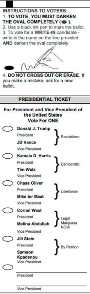 What American Ballots Look Like?