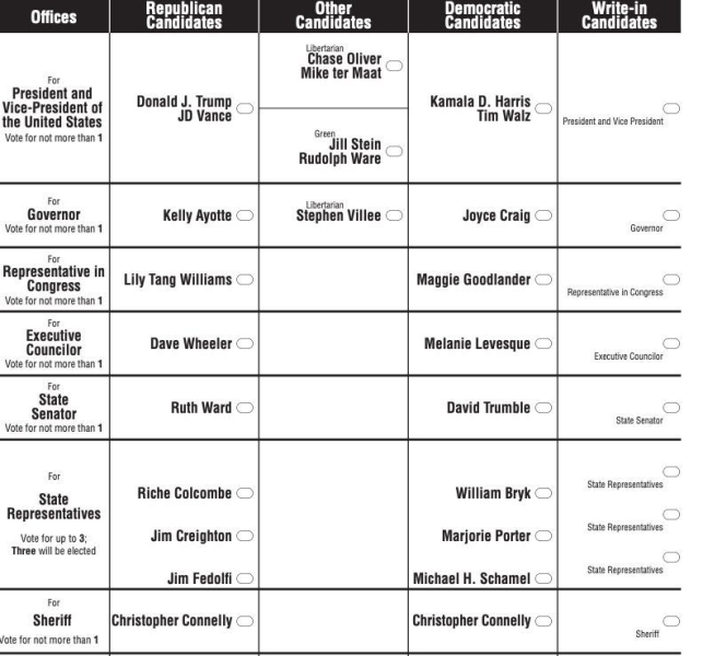 What American Ballots Look Like?