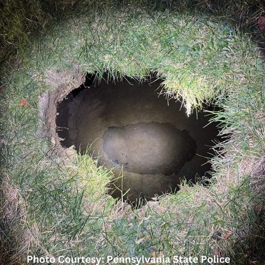 She goes looking for her cat in the middle of the night and falls into a hole: a woman wanted for several days