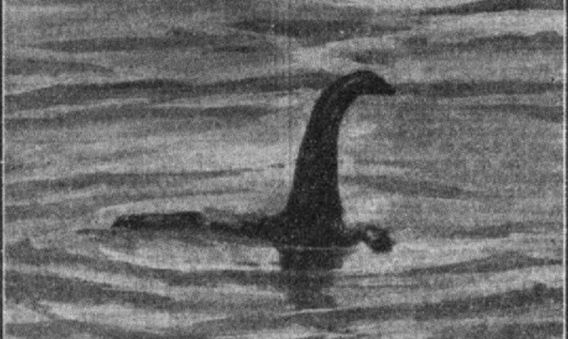 Bigfoot, Nessie, and the others: these legendary creatures that science demystifies