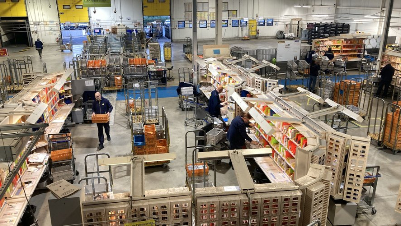 Christmas excitement at the La Poste “Parcel-Mail Services” platform in Vendres: up to 6,000 parcels pass through each day