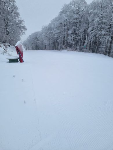 Alpine skiing, cross-country skiing: "The snow is good!", the Alti Aigoual ski resort opens this Sunday!