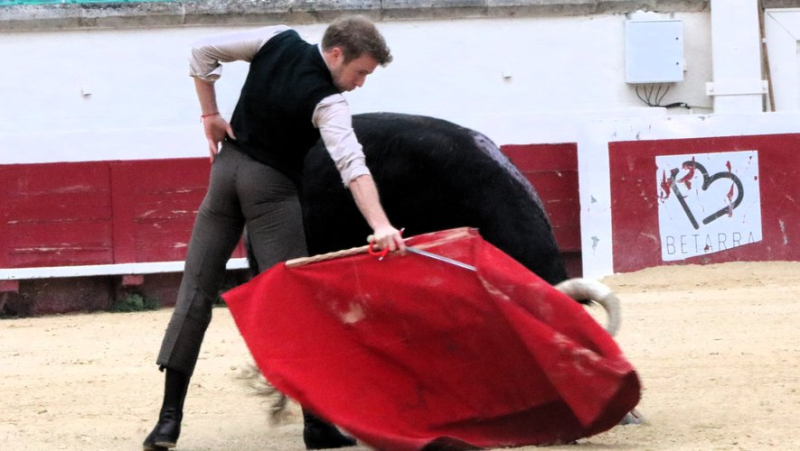 Une tienta de machos décisive pour l’avenir de la ganaderia Margé