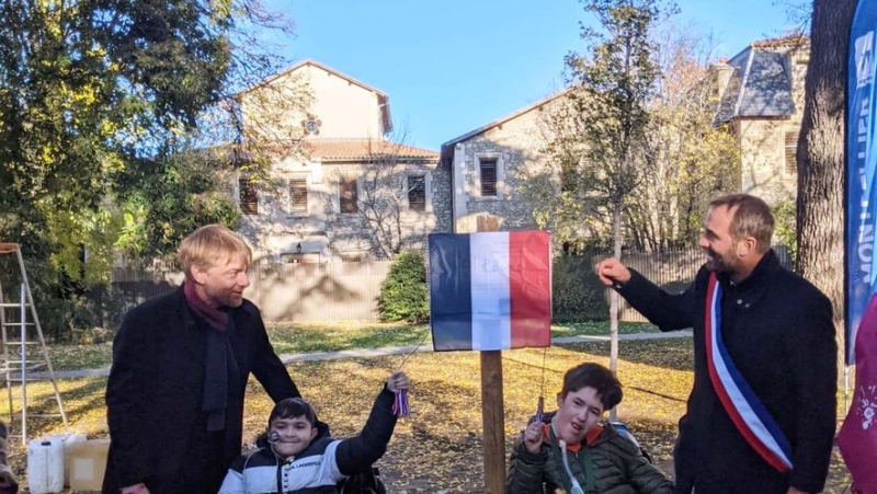 A Montpellier maple tree planted for the thirtieth anniversary of the Rêves association