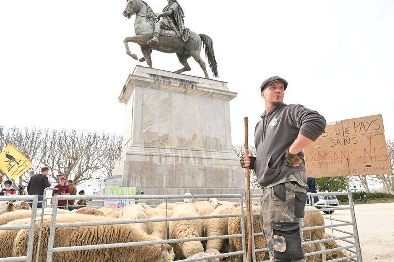 PHOTOS. Farmers, Abbé Pierre, fire at the Saints François church… A look back at the unusual year in Montpellier