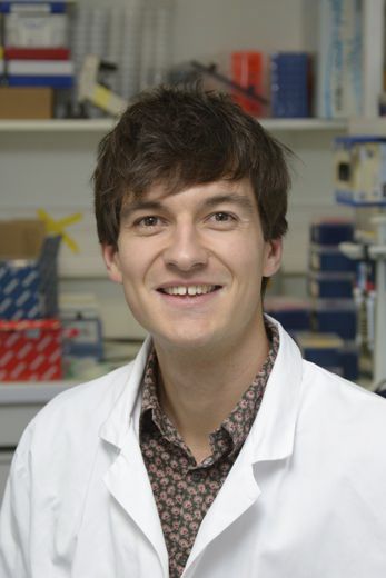 The 2024 Degas will be awarded to scientist Roman Chabanon for his research into cancer