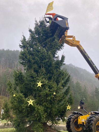 Farmers&#39; anger: Lozère Rural Coordination plants a Christmas tree