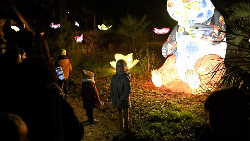 "C’est féerique, les enfants adorent" : à Montpellier, "L’Odyssée lumineuse" fait son show tous les soirs au château de Flaugergues