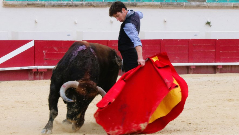 Une tienta de machos décisive pour l’avenir de la ganaderia Margé