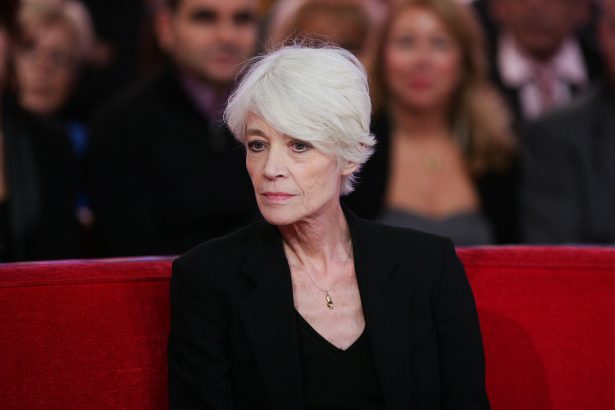 Michel Blanc, Alain Delon, Françoise Hardy... Ces personnalités disparues en 2024