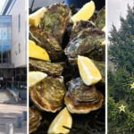 A father's call for help, oysters under control, the fir tree of discord… the essential news in the region