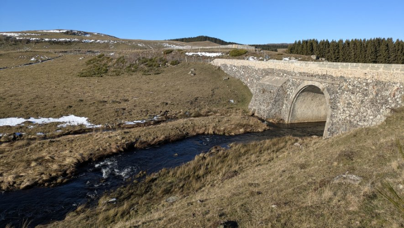 Lozère in winter (2/4): The Aubrac plateau reveals its raw beauty