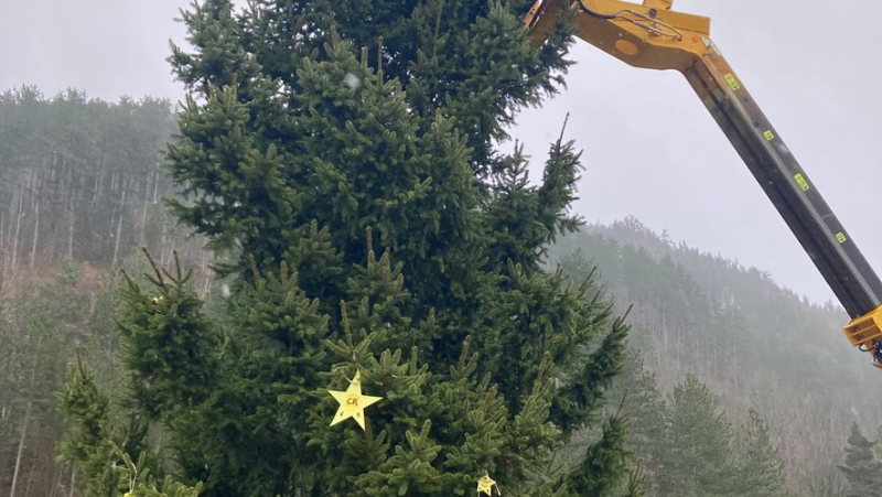 Farmers&#39; anger: Lozère Rural Coordination plants a Christmas tree