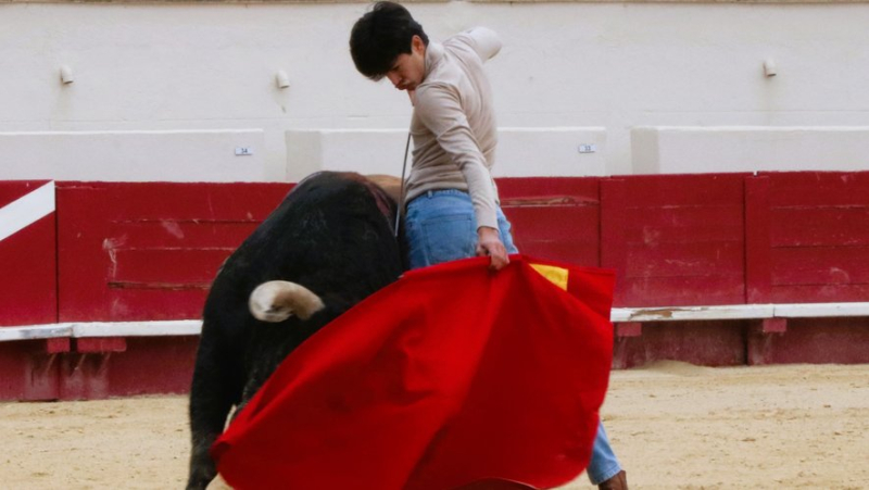 Une tienta de machos décisive pour l’avenir de la ganaderia Margé