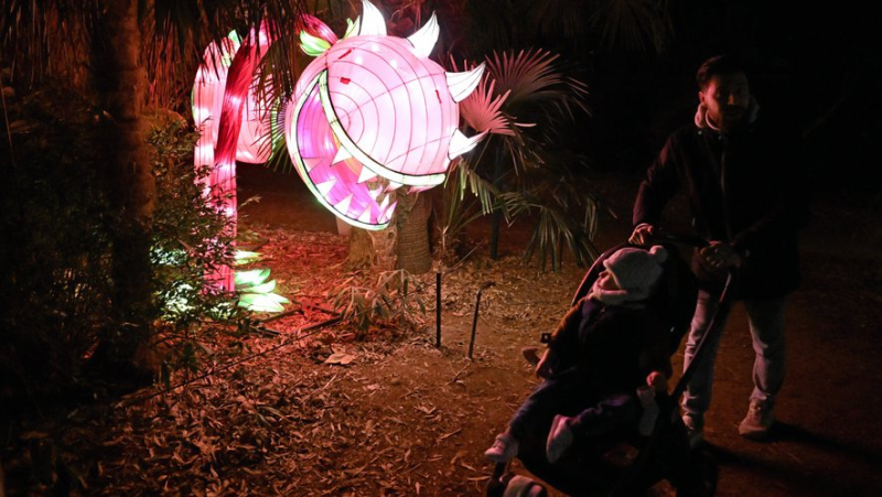 "C’est féerique, les enfants adorent" : à Montpellier, "L’Odyssée lumineuse" fait son show tous les soirs au château de Flaugergues