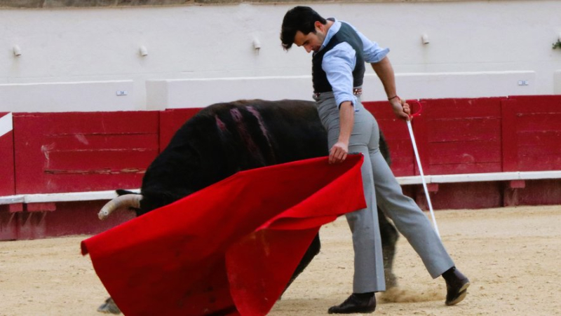 Une tienta de machos décisive pour l’avenir de la ganaderia Margé