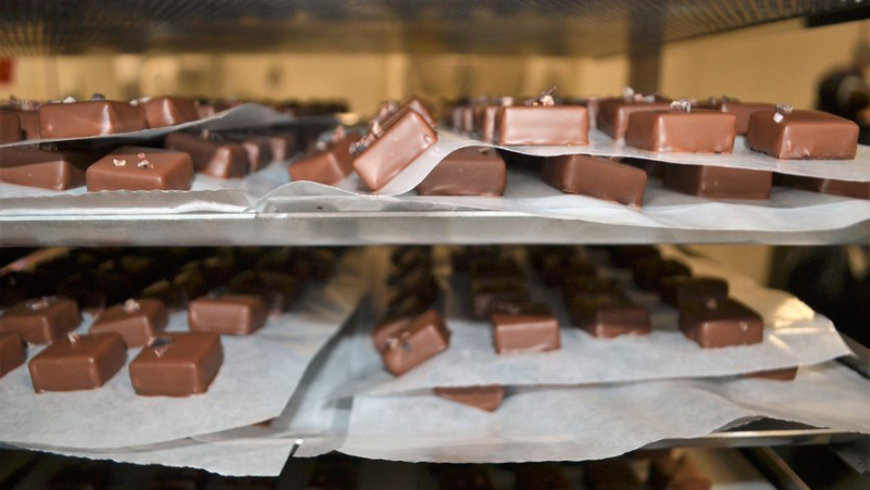 Young artisan Geoffrey Gil gave us a behind-the-scenes look at the production of festive chocolates in his new laboratory