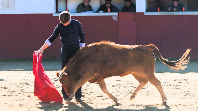 Borja Jimenez: "The ambition to be present in all the premier arenas in France in 2025"