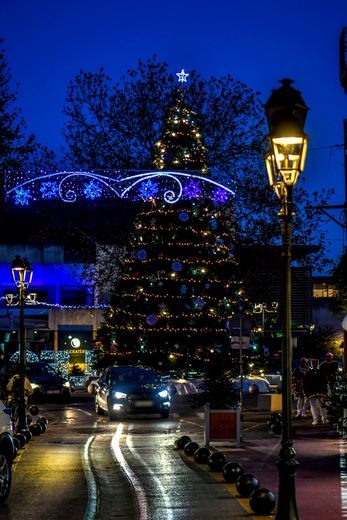 Waltzes of starry lights in the night of the capital of the Cévennes