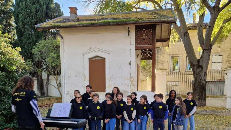 A Montpellier maple tree planted for the thirtieth anniversary of the Rêves association