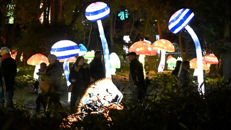 "C’est féerique, les enfants adorent" : à Montpellier, "L’Odyssée lumineuse" fait son show tous les soirs au château de Flaugergues