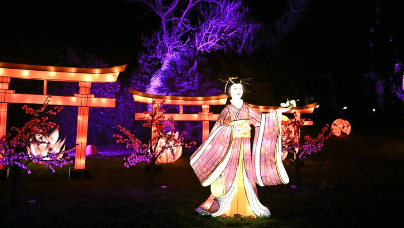 "C’est féerique, les enfants adorent" : à Montpellier, "L’Odyssée lumineuse" fait son show tous les soirs au château de Flaugergues