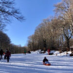 Closed slopes at Alti-Aigoual, in the Gard: without skiers, an opportunity to enjoy the pleasures of snow gently