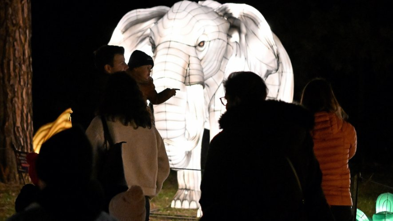 "C’est féerique, les enfants adorent" : à Montpellier, "L’Odyssée lumineuse" fait son show tous les soirs au château de Flaugergues