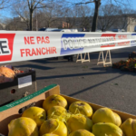 A week after the mortar attacks on the wild market in La Paillade, the police intervene and seize fruit and vegetables