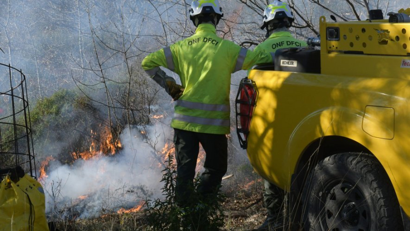 Controlled burning operation: these firefighters from SDIS 34 who direct winter fires to prevent summer fires