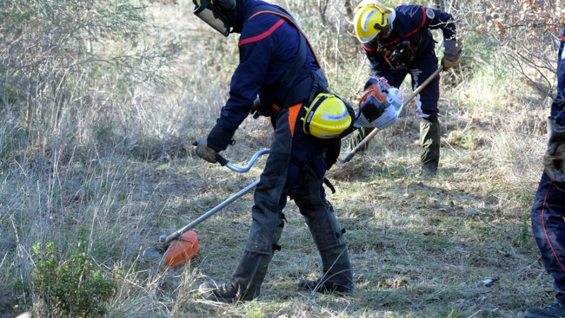 Controlled burning operation: these firefighters from SDIS 34 who direct winter fires to prevent summer fires