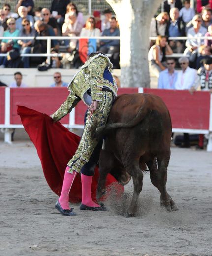 Clovis from Nîmes, 16, is starting his first season in a costume of light