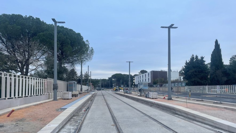 Tram line 5: the first station shelters are installed on the northern part of the construction site