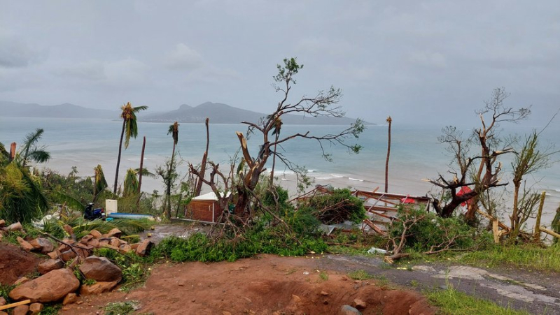 "Many people have lost everything": Cécile and Cyrille Cahouzard from Béziers, teachers in Mayotte, give their testimony after cyclone Chido