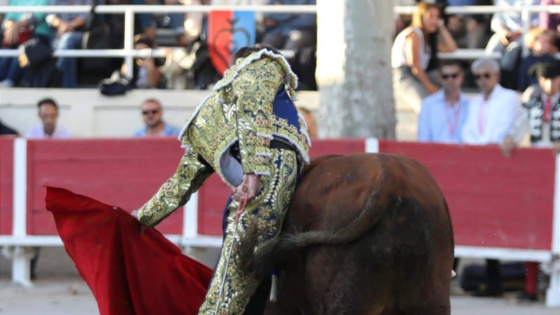 Clovis from Nîmes, 16, is starting his first season in a costume of light