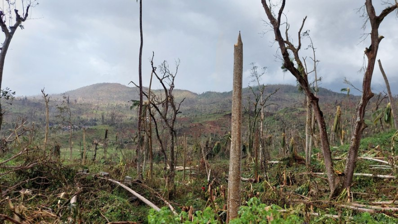 "Many people have lost everything": Cécile and Cyrille Cahouzard from Béziers, teachers in Mayotte, give their testimony after cyclone Chido