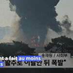 South Korea Crash: “It Can Be Very Spectacular,” Why Birds Can Cause Air Disasters ?