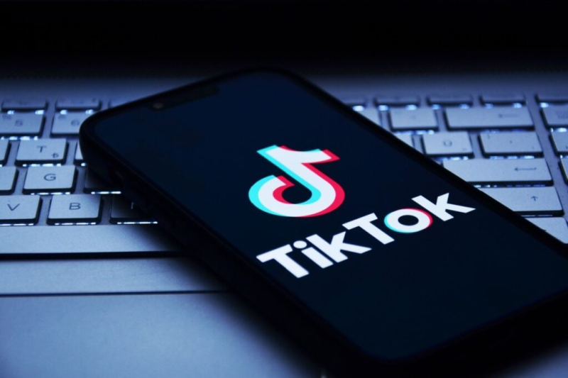 "TikTok est extrêmement dangereux pour les jeunes" : le cri d'alerte d'un célèbre professeur