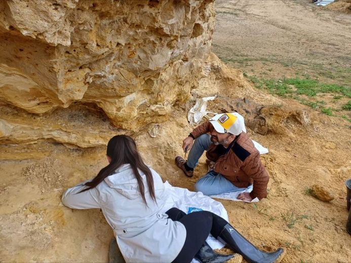 L’INVITE DU DIMANCHE. Avec ses parcs Dinopedia, Philippe Lopez a trouvé les dinosaures aux œufs d’or