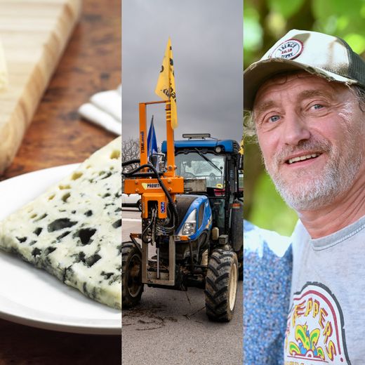 The Roquefort PDO will soon be a hundred years old, the anger of farmers, the Tuches dress a little Catalan… the essential news in the region