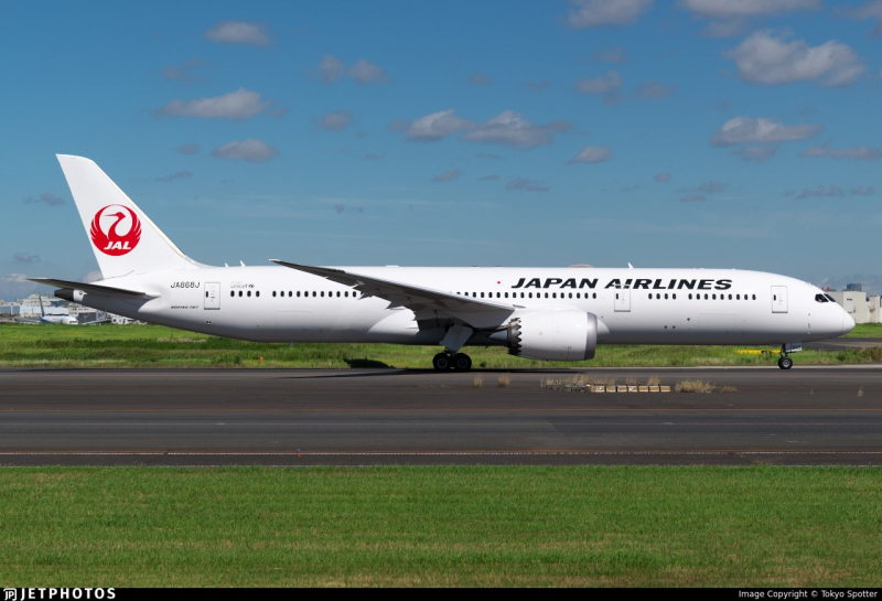 Japan Airlines : des avions plus verts grâce à une peinture inspirée de la peau de requin