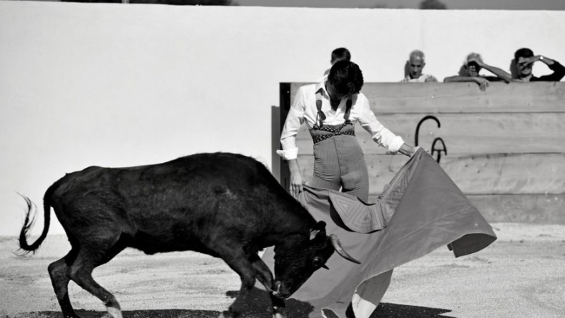 Clovis from Nîmes, 16, is starting his first season in a costume of light