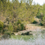 A community picnic to preserve the Montrodier scrubland in Marguerittes