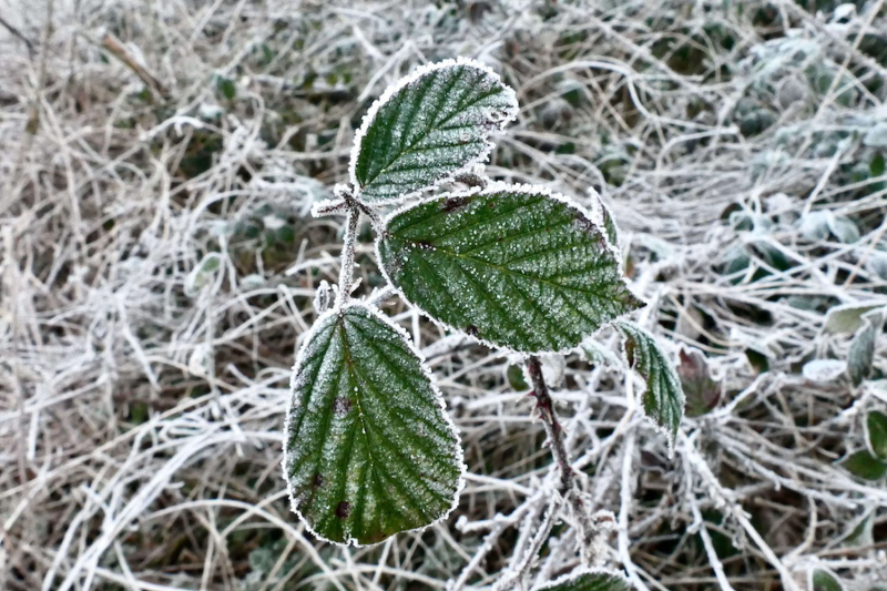 Return of frost, coldest day: temperatures drop below 0 degrees this Tuesday