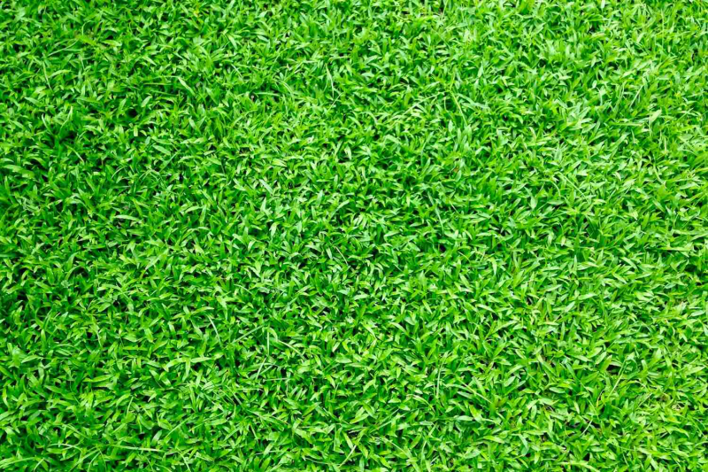 Extreme heat ? Discover this artificial grass that cools itself