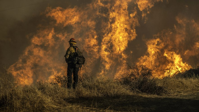 Los Angeles wildfires: more than 12,000 properties destroyed, according to a new report from the firefighters, and still new blazes