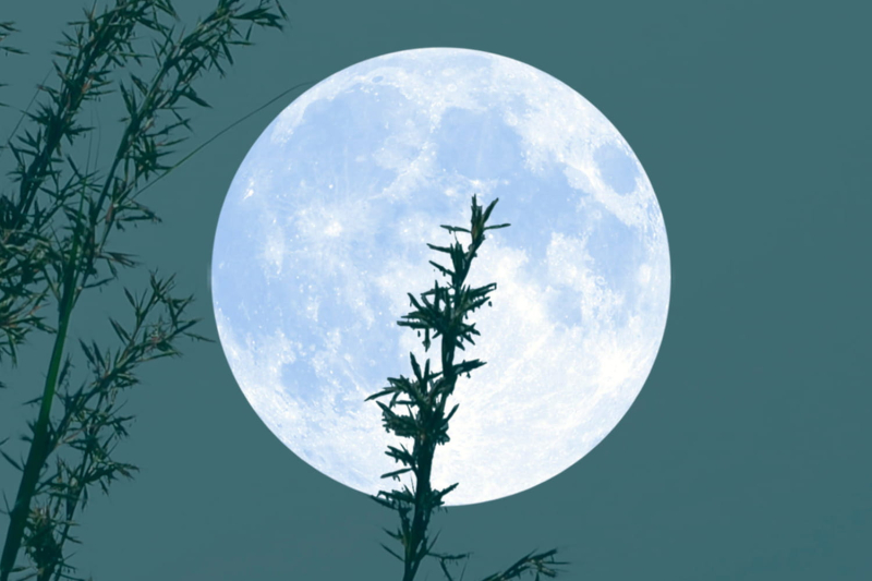 Professional success, challenges or rewards: what does the 2024 Strawberry Full Moon have in store for us ?